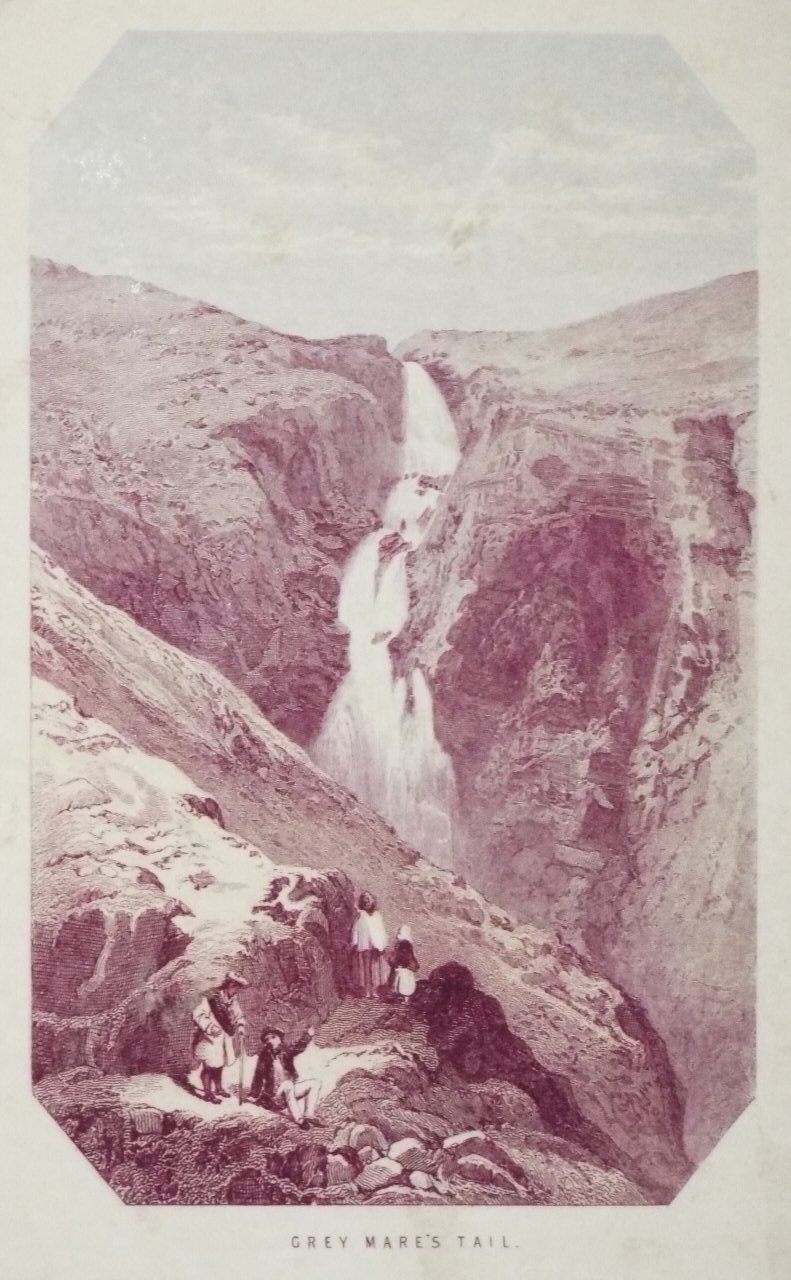 Chromo-lithograph - Grey Mare's Tail.